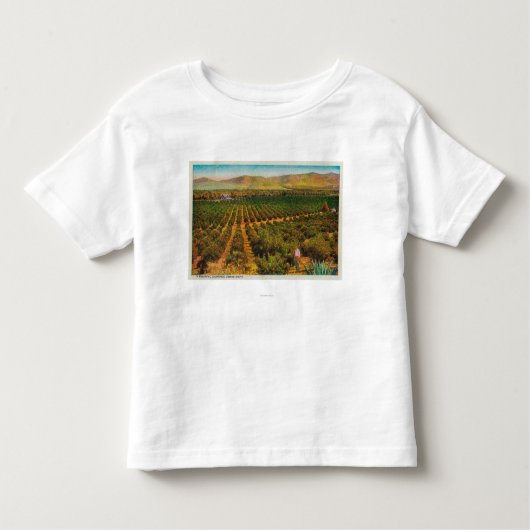 美しいオレンジGroveState トドラーTシャツ (正面)