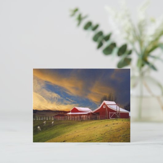 美しいオンファームハガキ ポストカード (スタンド正面)