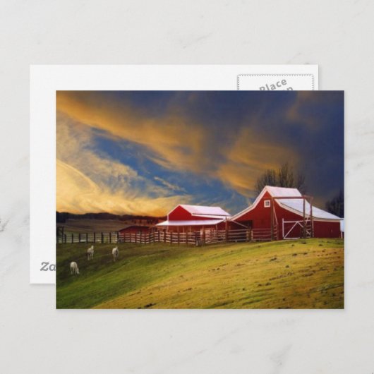 美しいオンファームハガキ ポストカード (正面/裏面)