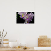 美しいオーキッド,カトレヤ(アリエルxラビアタ) ポスター (キッチン)