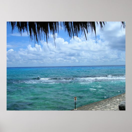 美しいオーシャンビュー ポスター (正面)