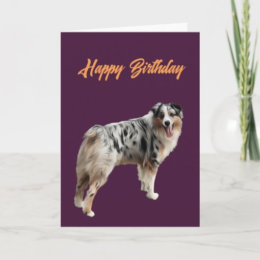 美しいオーストラリアン・シェパードの誕生日おめでとう カード (正面)
