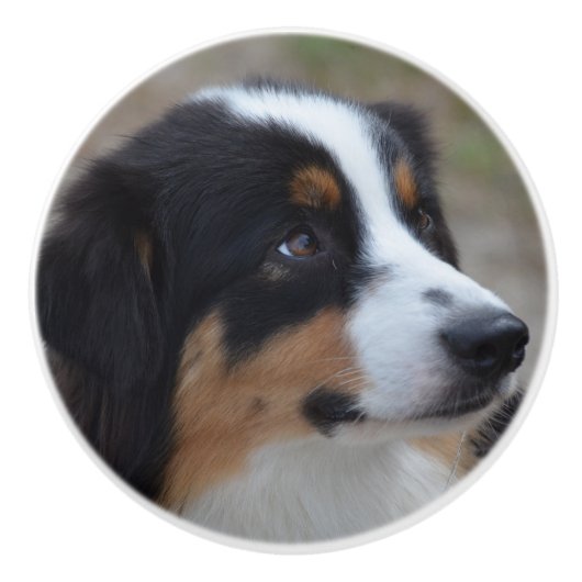 美しいオーストラリア人 セラミックノブ (正面)