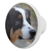 美しいオーストラリア人 セラミックノブ (右)