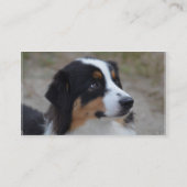 美しいオーストラリア人 名刺 (裏面)