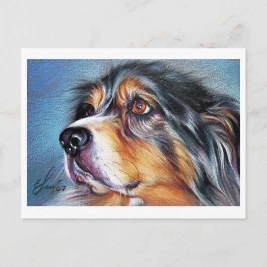 美しいオーストラリア ポストカード (正面)