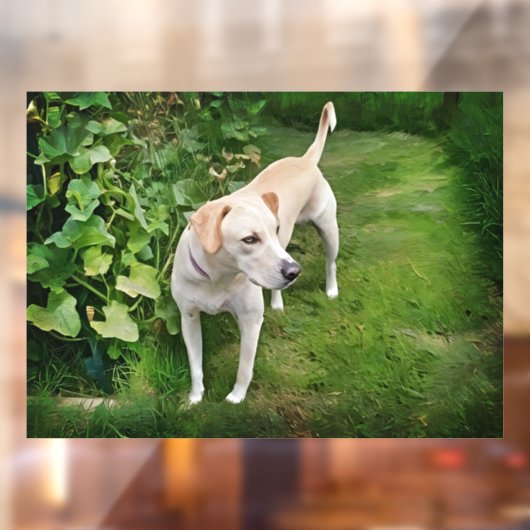 美しいカタホラレオパードドッグウィンドルッキング ウィンドウサイン (シート2)