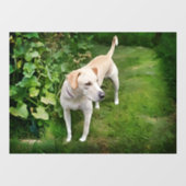 美しいカタホラレオパードドッグウィンドルッキング ウィンドウサイン (シート)