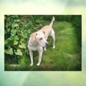 美しいカタホラレオパードドッグウィンドルッキング ウィンドウサイン (シート3)