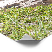 美しいカナダの滝、スタンリー滝 ポスター (角)