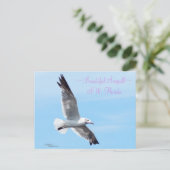 美しいカモメのフロリダのはがき ポストカード (スタンド正面)