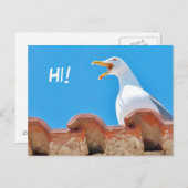 美しいカモメ – ハローハガキ ポストカード (正面/裏面)