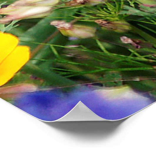 美しいカラフルの草原 ポスター (角)