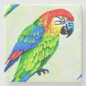 美しいカラフルオウム模様 ストーンコースター (正面)