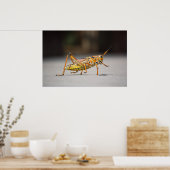 美しいカラフルキリギリス ポスター (キッチン)