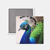 美しいカラフルクジャクのクジャク鳥の野生動物 マグネット (正面/裏面)