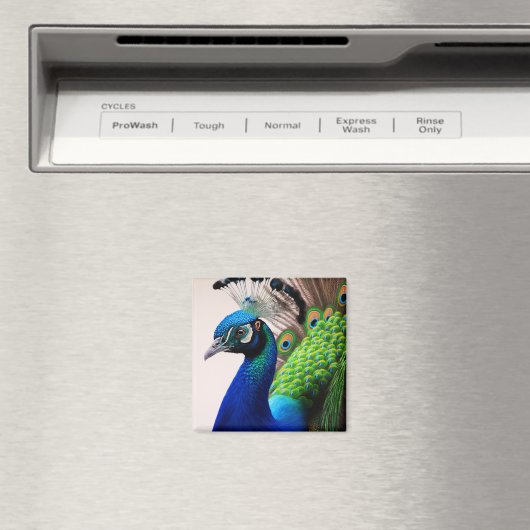 美しいカラフルクジャクのクジャク鳥の野生動物 マグネット (インサイチュ (食洗機))