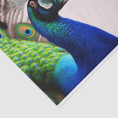 美しいカラフルクジャクのクジャク鳥の野生動物 薄葉紙 (詳細)