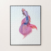 美しいカラフルファンタジーコイ魚