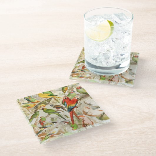 美しいカラフルヴィンテージ熱帯鳥のオウム ガラスコースター (アングル)