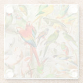 美しいカラフルヴィンテージ熱帯鳥のオウム ガラスコースター (裏面)