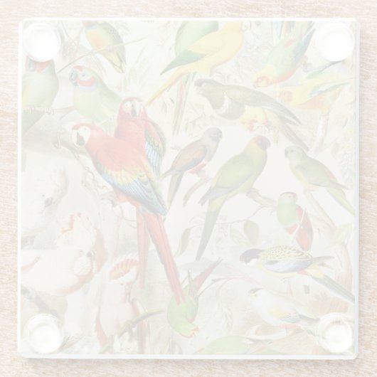 美しいカラフルヴィンテージ熱帯鳥のオウム ガラスコースター (裏面)