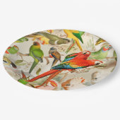 美しいカラフルヴィンテージ熱帯鳥のオウム ペーパープレート (アングル)