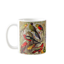 美しいカラフル熱帯鳥のオウム