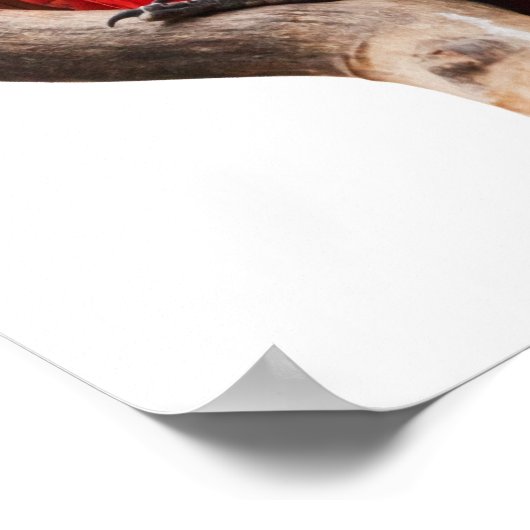 美しいカラフル緋色のマカオオウム ポスター (角)