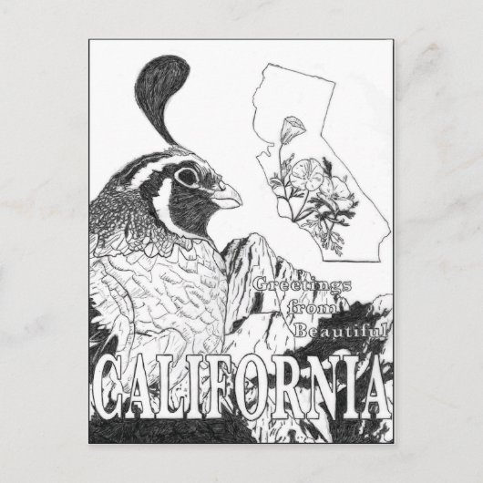 美しいカリフォルニアの挨拶 ポストカード (正面)