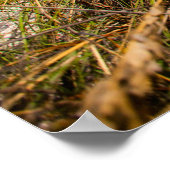 美しいカリブのビーチ ポスター (角)