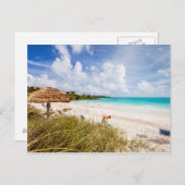 美しいカリブのビーチ ポストカード (正面/裏面)