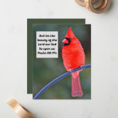 美しいカーディナル・ノートカード・バレンタイン・鳥 ノートカード (正面/裏面インサイチュ)