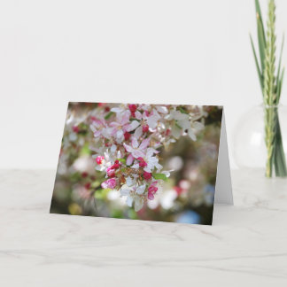 美しいカ空白のード カード