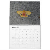 美しいガのカレンダー2016年 カレンダー (3月 2027)