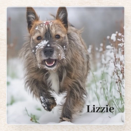 美しいガラスコースター。独自の写真/名前の追加 ガラスコースター (正面)