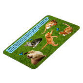 美しいキットン聖なる書物、 経典マグネットMatthew 18:3 マグネット (左側)