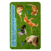 美しいキットン聖なる書物、 経典マグネットMatthew 18:3 マグネット (縦)