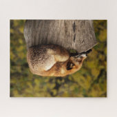 美しいキツネが木の切り株で眠る ジグソーパズル (横)