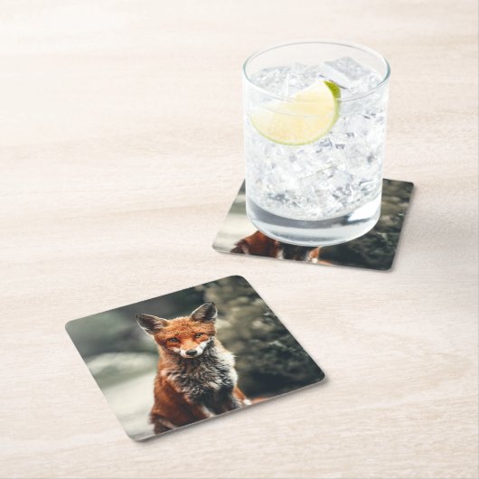 美しいキツネインザワイルド スクエアペーパーコースター (インサイチュ)