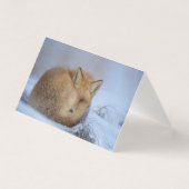 美しいキツネ空白のカード (正面)