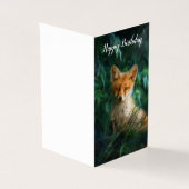 美しいキツネ誕生日 (外部)