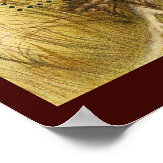 美しいキノコのスタンプ~トースツールウクライナ1999 ポスター (角)