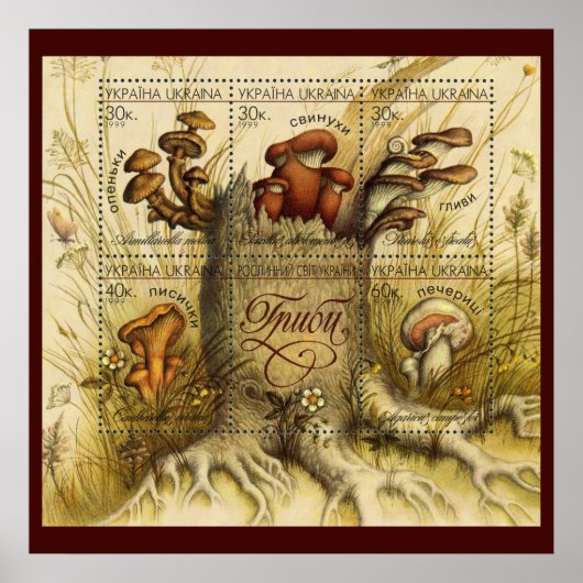 美しいキノコのスタンプ~トースツールウクライナ1999 ポスター (正面)