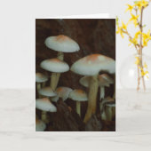 美しいキノコ写真空白のカード カード (黄色い花)
