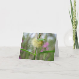 美しいキャタピラ空白の- Greeting Card カード
