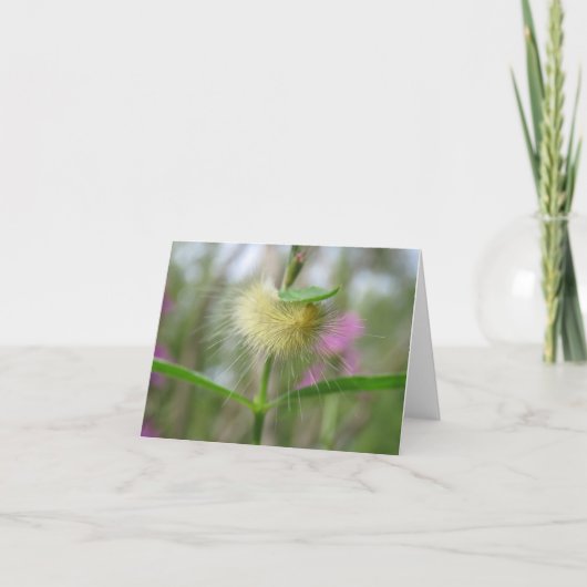 美しいキャタピラ空白の- Greeting Card カード (正面)