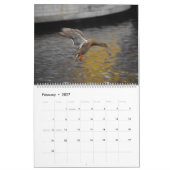 美しいキャプチャ カレンダー (2月 2027)