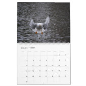 美しいキャプチャ カレンダー (1月 2027)