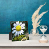 美しいギョナプラークとデイジー フォトプラーク (インサイチュ)